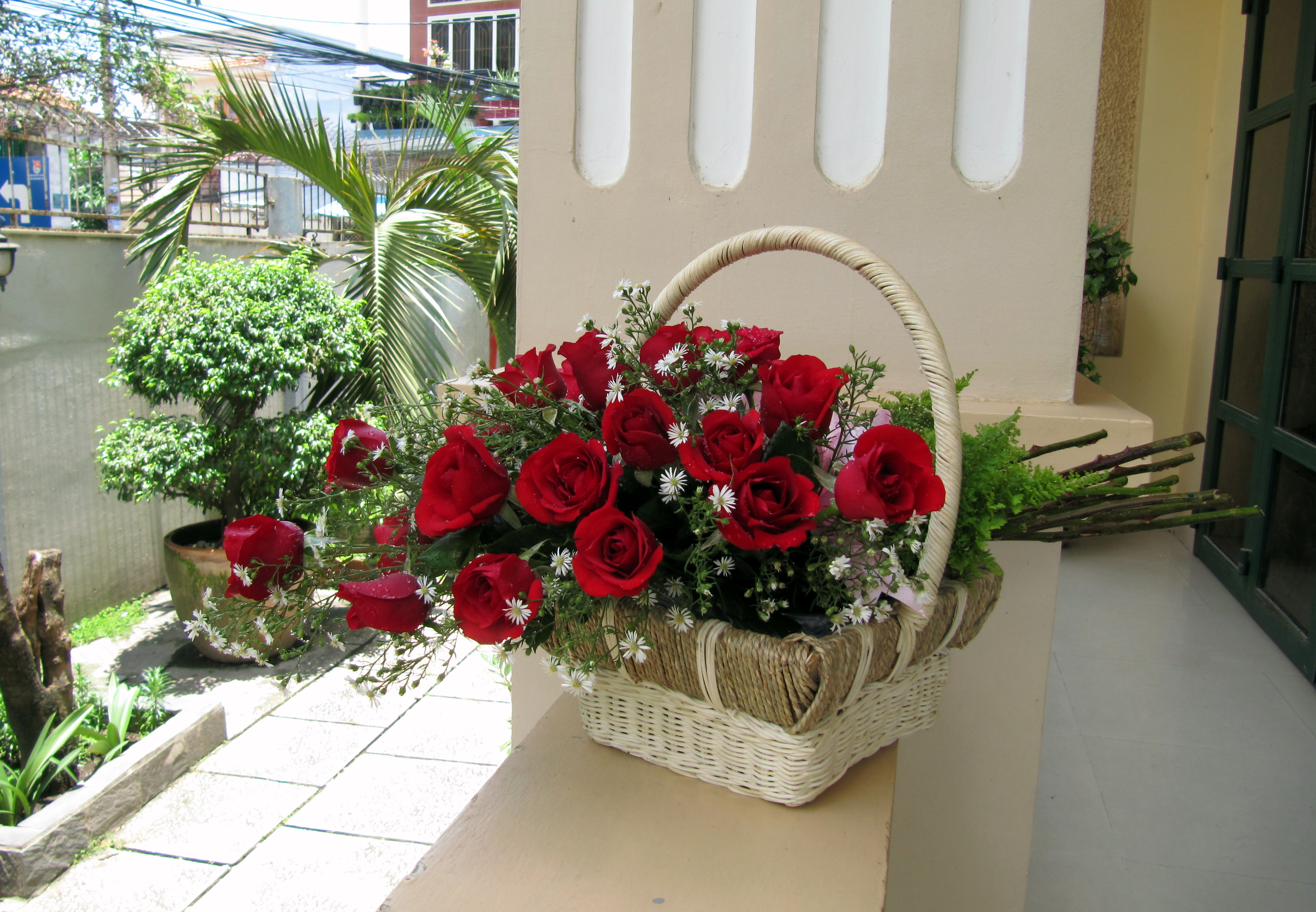 Bó hoa dạng bó luá – Hoa hồng đỏ & thạch thảo trắng – Viết linh tinh
